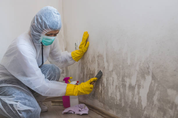 Forensic Mold Investigation in Aromas, CA